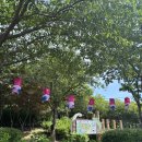 울산 가볼만한곳 장생포 수국축제 개화율30%실시간 후기(26.06.05) 주차 웨일즈카트 총정리