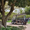 테디벨리골프장 4 이미지