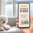 베네피아