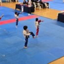 용인대 석사 태권짐 이미지