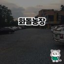 대화오리농장 | 하남 오리 맛집 화돌농장 방문기