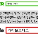 라이온모터스 이미지