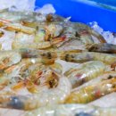 대명수산 이미지