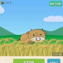 카우카우 이미지