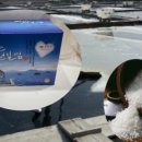 영심이네 이미지