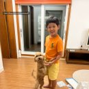 북스테이동상 | 우리집 7세 아이의 취향저격이었던- 그리스 로마신화 박물관