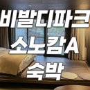 비바정육점