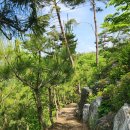 은석힐링마을 이미지