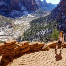 Little Bear‘s Big Trip 이미지