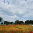 삼문풋살경기장 이미지