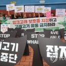 고래식품