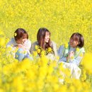 장내목장 이미지