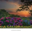 안성리-10 이미지