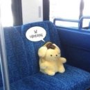 맘편하개 이미지