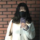 디어파인(dear fine)