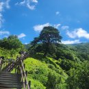 별장가든민박 이미지