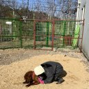 보담농장 이미지