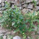 조홍한의원 이미지