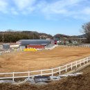 피터팬승마캠프 이미지