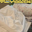 수정빨래방세탁 이미지