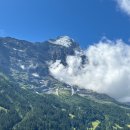 first | 🏔️ 스위스 그린델발트 (Grindelwald) 여행 | 아이거 북벽 + Firstbahn 곤돌라 + First 후기