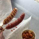 악쓰는하마 코인노래연습장2 이미지