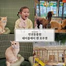 테이블에이 놀이터 이미지