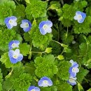 팔달문 안내소 이미지