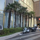 롯데백화점광복점 이미지