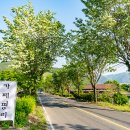 고례대추농원