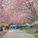 꽃동산어린이공원-2 | 4월 국내 봄 여행지 추천 15곳 — 벚꽃 말고 이런 곳 어때요?