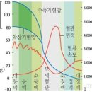 혈압이 높아지는 이유 - 지질이 혈관에 침착하면 탄성을 잃어 혈압이 상승한다. 이미지