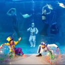 아쿠아플라넷 여수 이미지