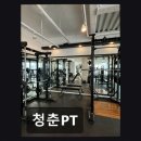 청춘P.T | 유성구 헬스장 청춘PT 청춘PT 체계적 지도와 합리적 가격이 돋보임