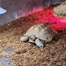 서울숲12 이미지