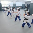 인성품태권도장 이미지