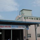금호청과