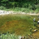 달빛이머무는둥지 이미지