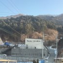 보니하니 | [가평/애견펜션] 개별 테라스/운동장/조식/수영장이 있는 &#39;보니하니 애견펜션&#39; 후기