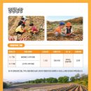 일등농장 이미지