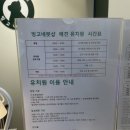 빙고네펫샵 이미지