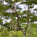 세신샵 결 이미지