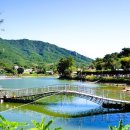 고모저수지 이미지