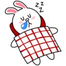 경희대성훈태권도장 이미지