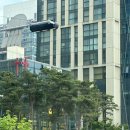 펫라운지 애견유치원 애견호텔 애견미용 이미지