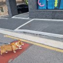 다오상회 이미지