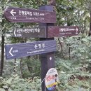 녹번-027 이미지