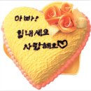 디카포토