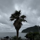 섶섬 아우룸 이미지