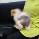 봉곡동143 이미지